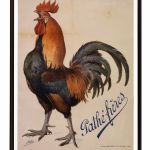 Coq_1914